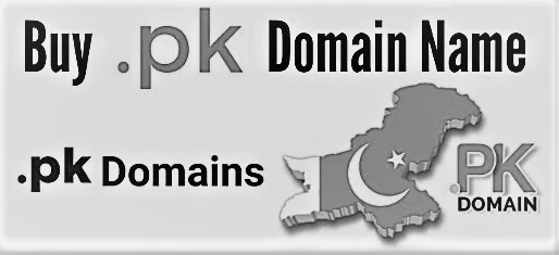 The Impact of PK Domain on Local Businesses and Entrepreneurs