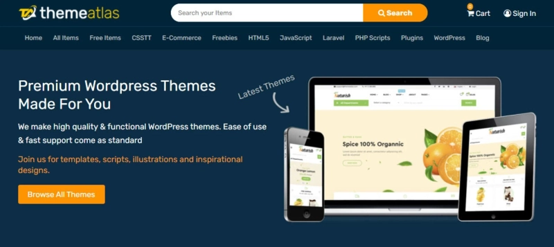 Web-Based Software Program That Anyone Can Use To Make And Maintain A Website Or Blog