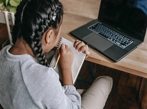 Professional Essay Writing Essay Services: Why They Are Becoming Popular?