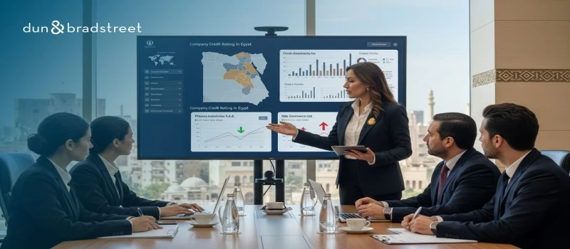 The Expanding Role of Marketing Research Companies in Egypt