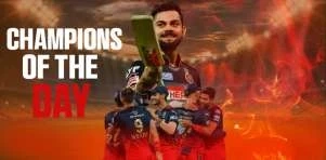 Royal Challengers Bangalore's Journey to IPL Playoffs: A Quest for Excellence