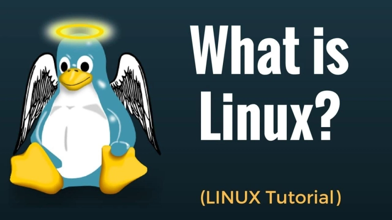 What is Linux and How Does It Work?