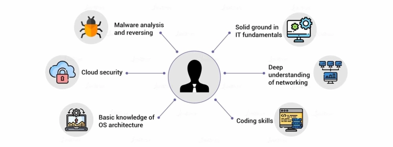 Ethical Hacking Career Path