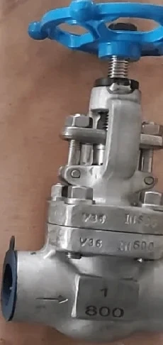 Forged steel globe valve in UAE