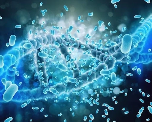 Bacillus Subtilis: Overview, Uses, Benefits