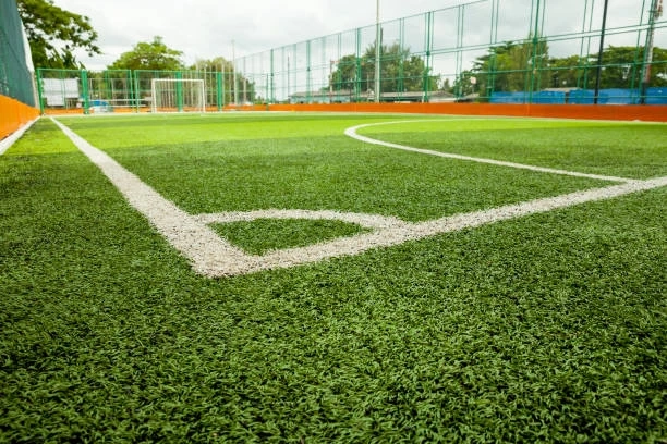 Artificial grass - Can it replace grass?