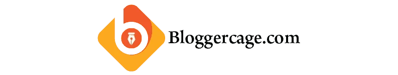 What is SEO: A Beginner's Guide to Reaching the top of Google | Blogger Cage