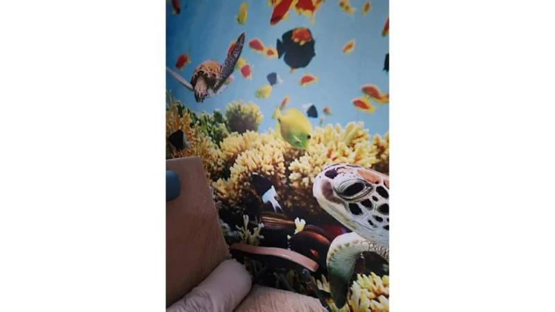 Salt Cave Oasis: Revitalize Lung Health