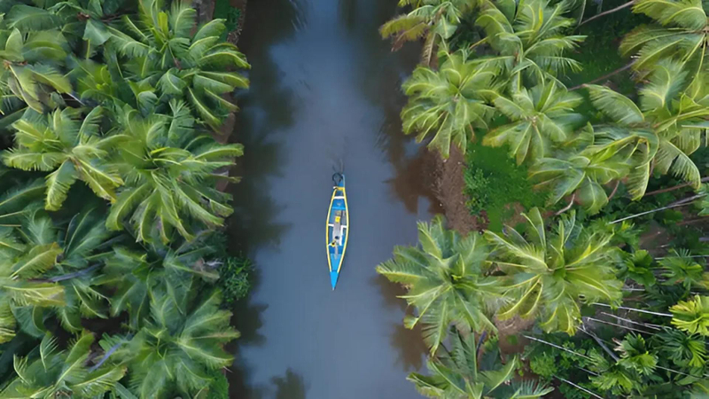 Escape the Crowds: 5 Hidden Beach Paradises in South India You Must Visit