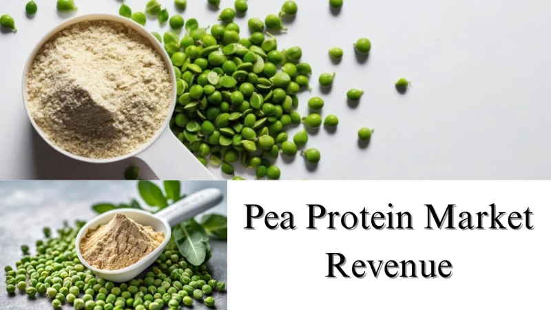 Pea Protein Market Revenue, Share, Size, and Growth Forecast to 2032