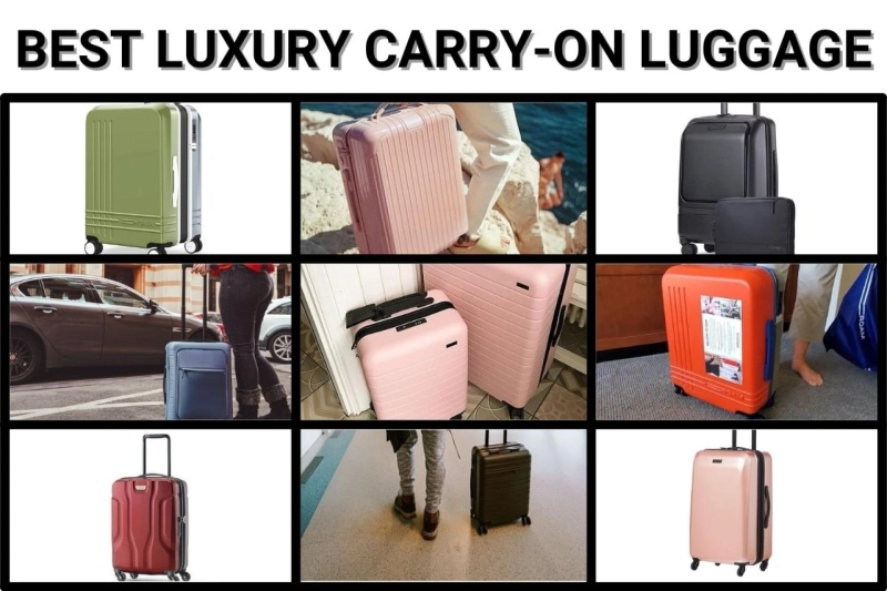 The Ideal Accompanist: Mono Luggage