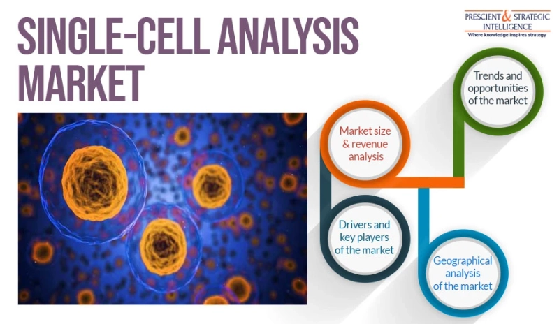 Rising Healthcare Expenditure To Boost Single-Cell Analysis Market Growth