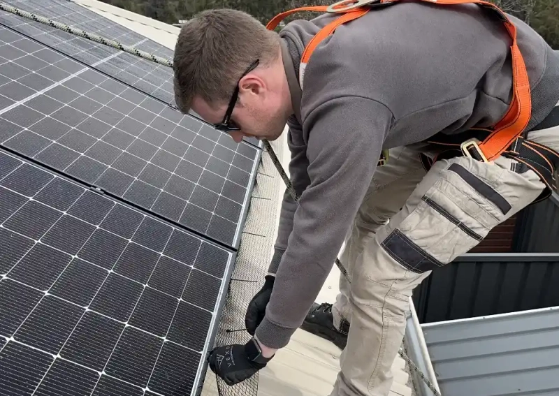 How Solar Panel Bird Proofing Melbourne Protects Your Solar System?