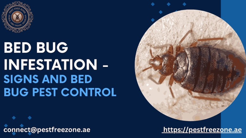 Bed Bug Infestation - Signs And Bed Bug Pest Control