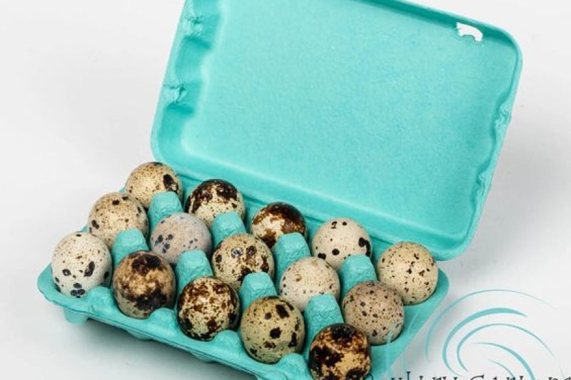 A Sea of Eggs: Diving into the Egg Case Stock with Chicken Cages