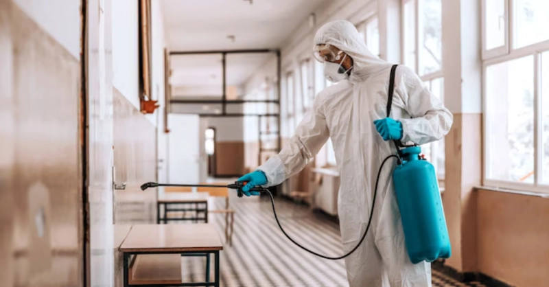 How to Choose the Best Pest Control Service for Your Property