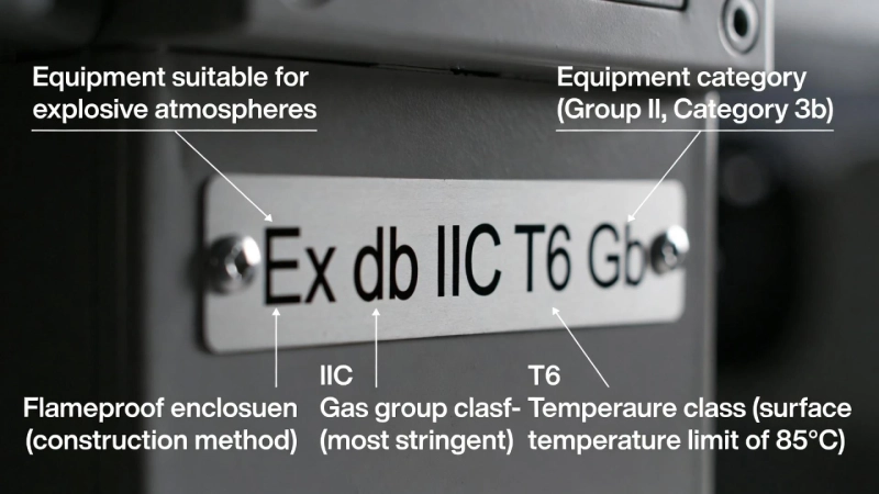 IECEx Marking Code Decoded: Ex db IIC T6 Gb (Examples)