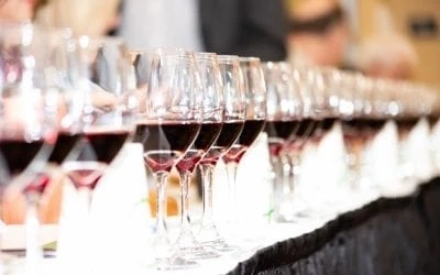 IS PINOT NOIR GOOD FOR BEGINNERS?