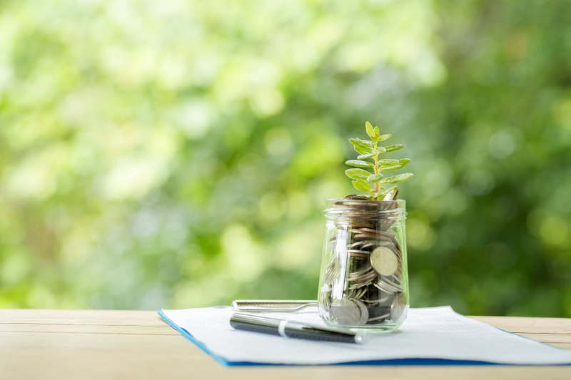 Understanding Risk Management in Wealth Planning