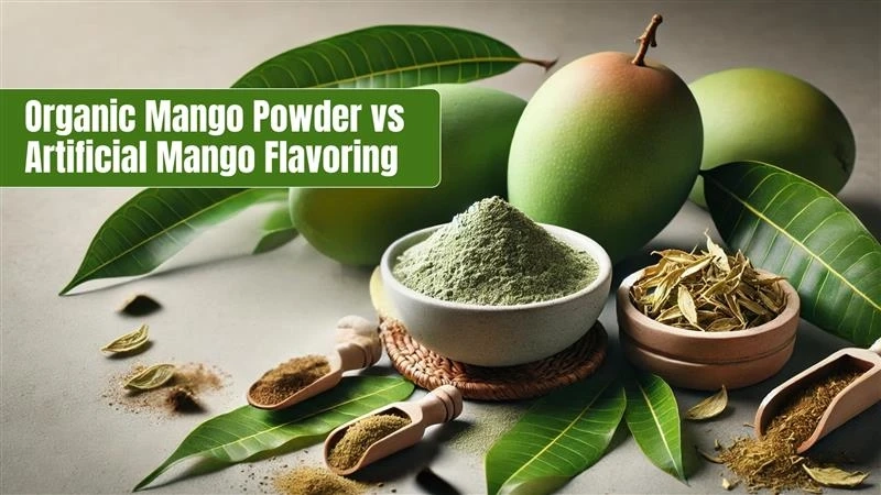 Organic Mango Powder vs. Artificial Mango Flavoring: What Manufacturers Should Know