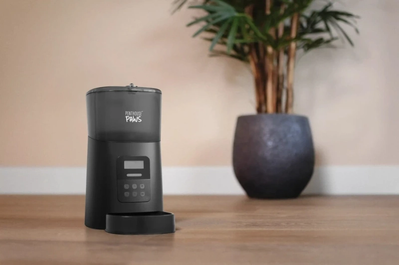 Pet Care: The Future of Automated Feeding and Hydration