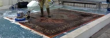 How to Get the Best Deals on Carpet Floors Sales?