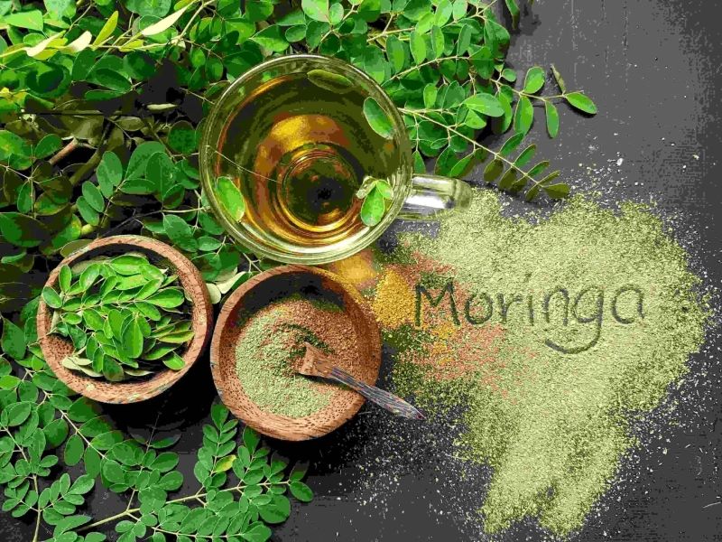 The Many Uses of Moringa: Nature's Superfood Powerhouse