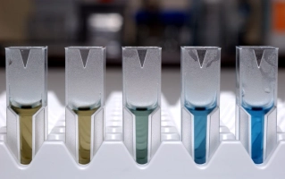 The Protein Assays Market report composes qualitative and quantitative valuation by industry analyst
