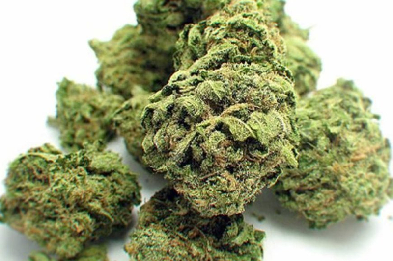 Top 5 Main Factors in Choosing the Right Cannabis Strain for Cancer