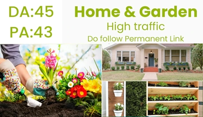 Best Place to Get high Da Pa Guest Post