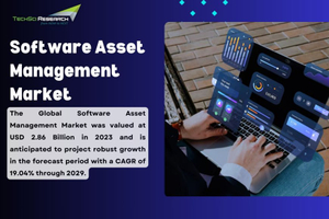 Software Asset Management Market Dynamics: Unveiling Trends and Opportunities
