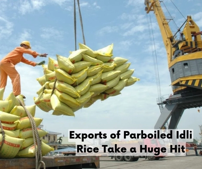 Exports of Parboiled Idli Rice Take a Huge Hit