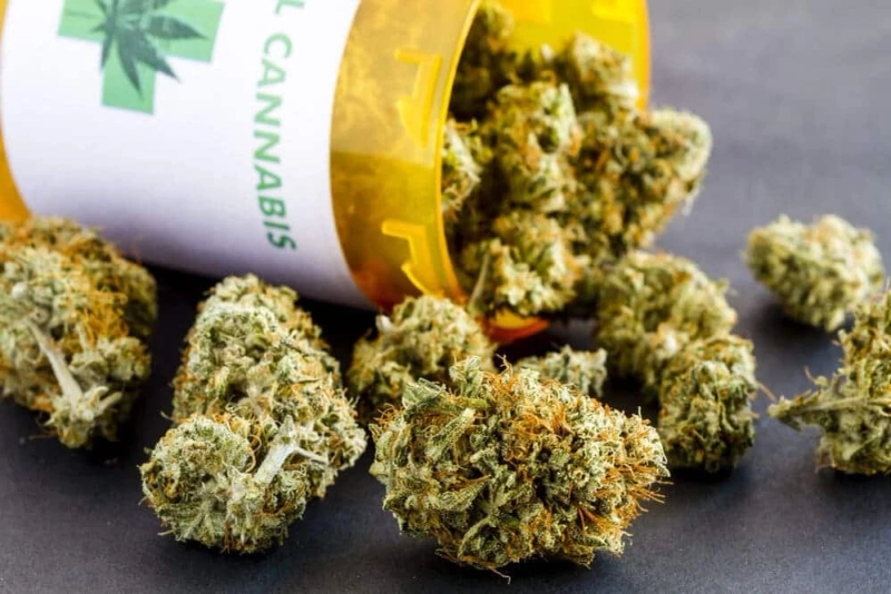 Sativa Strains: What Is The Most Popular Sativa Strain