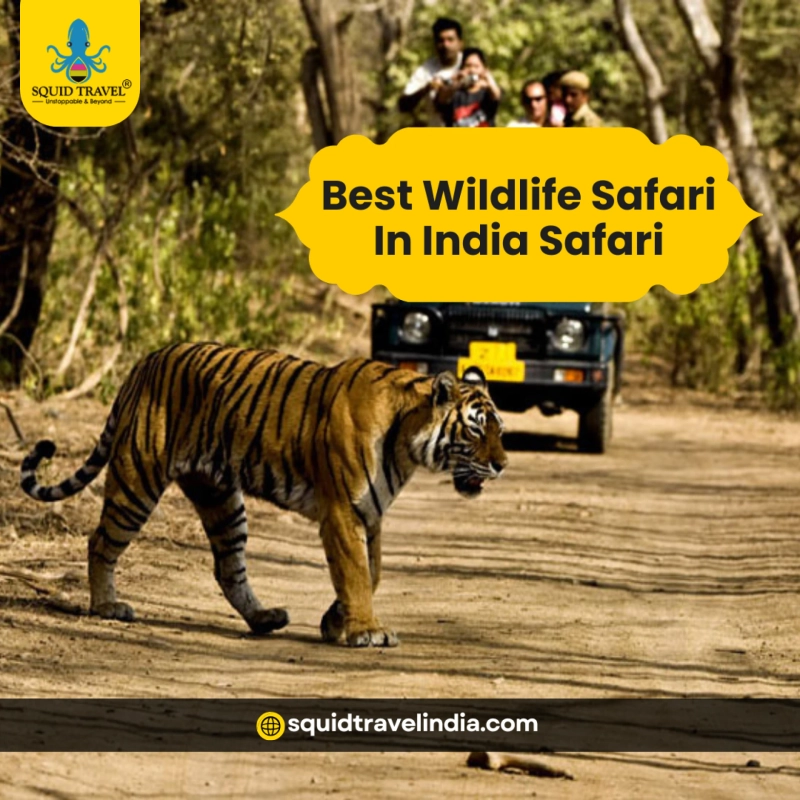 What Are the Top Travel Agencies for Wildlife Safari in India