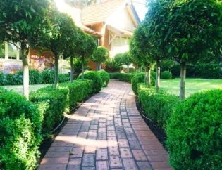 Get Landscaping Services And Create Your Dream Garden