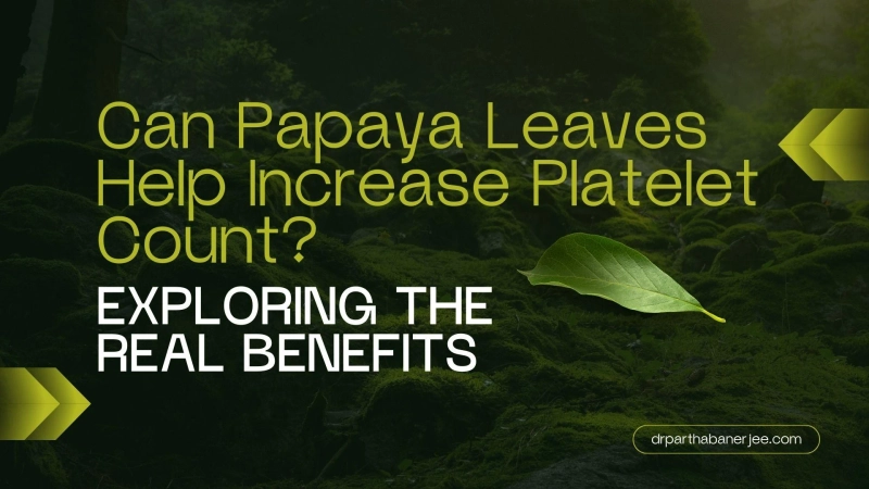 Can Papaya Leaves Help Increase Platelet Count? Exploring the Real Benefits