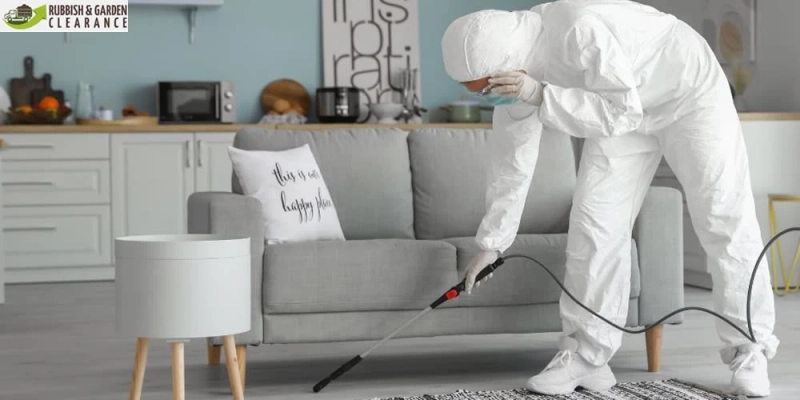 Why You Need a Flat Clearance Merton Team after the Family Has Been Sick