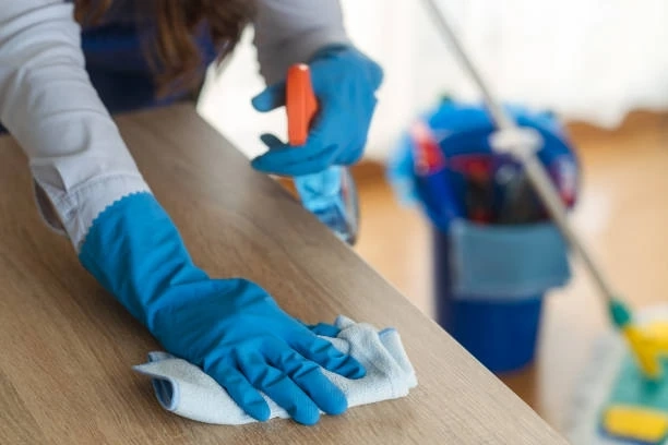 What is the purpose of the janitorial cleaning service?