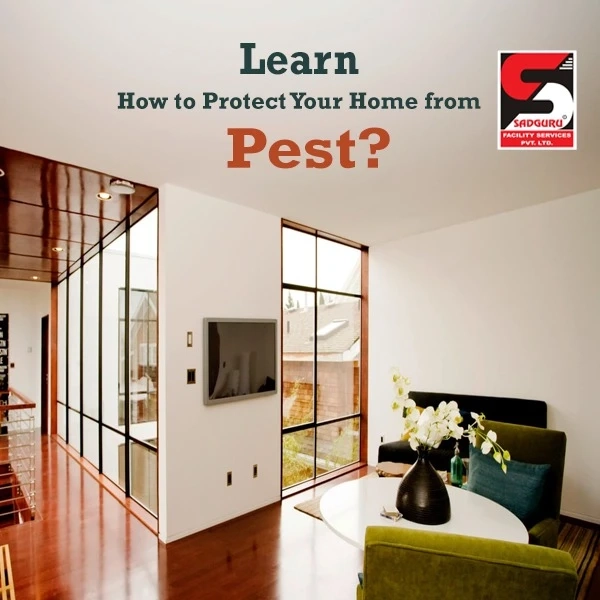 Pest Control Services in Thane | Pest Control in Thane