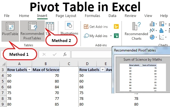 How to Use a Pivot Table in Excel
