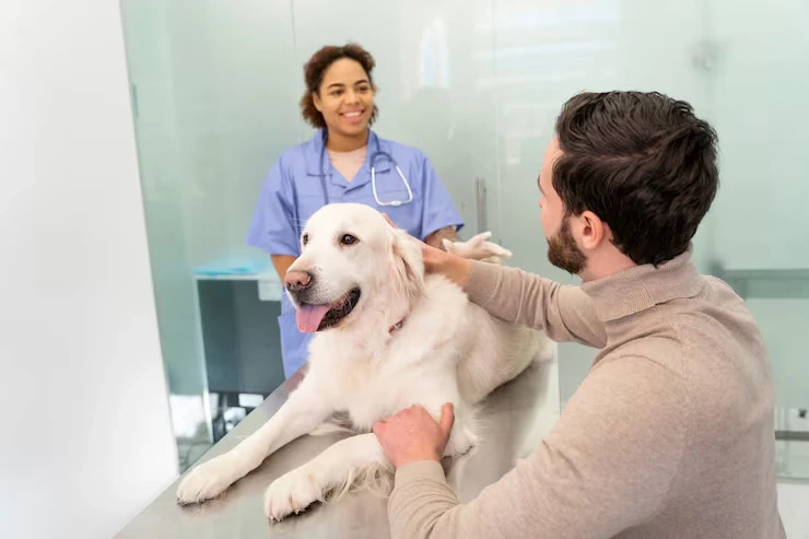 Dog Veterinary Hospital Services: From Puppies to Seniors