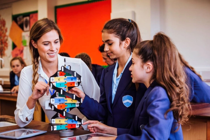 How to Register as a Teacher in New Zealand