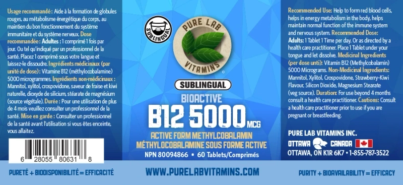 Importance of Vitamin B12 Supplement