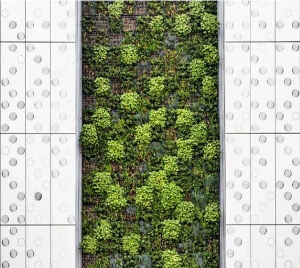 Sustainable Living: Practical Tips for Reducing Your Carbon Footprint 