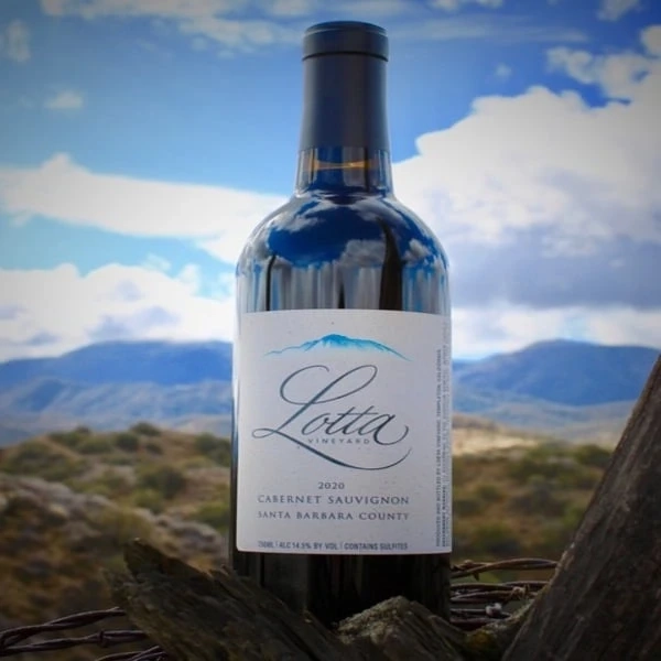 Exploring the Exquisite Cabernet Sauvignon Taste- A Must-Try for Wine Lovers!