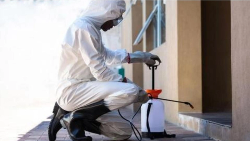 How To Pest-Proof Your House?