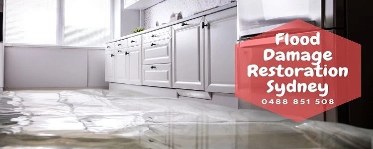 Why Is It Important to Restore Carpet Damage Due To Flood?