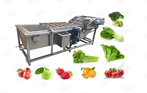 India Vegetable Washer System Market to be Valued USD 457.17 Million FY2026