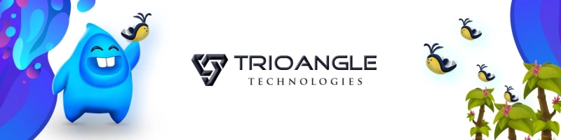 Web Application Development Company | Mobile Application Development Company - Trioangle