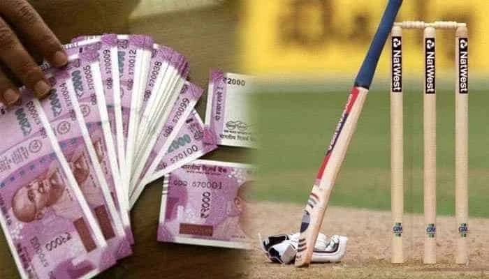 8 Best Tips to Become a Cricketer in India with Odds96 ID